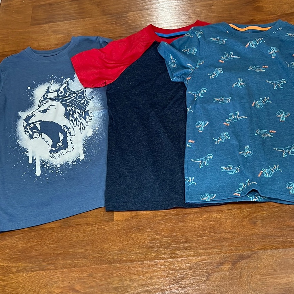Cat & Jack 3 Shirt Bundle Lion Dinosaur Snake & Solid T Shirt Medium 8-10